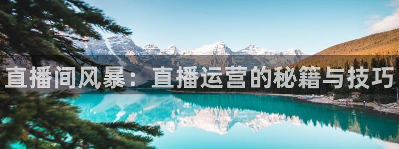 乐球吧nba篮球直播：直播间风暴：直播运营的秘籍与技巧