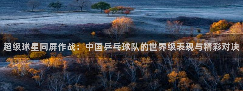 乐球体育直播app下载安装：超级球星同屏作战：中国乒乓球队的世界级表现与精彩对决