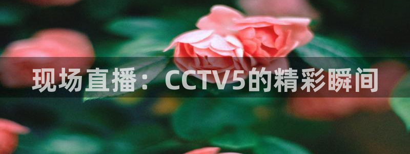乐球直播(高清版)：现场直播：CCTV5的精彩瞬间