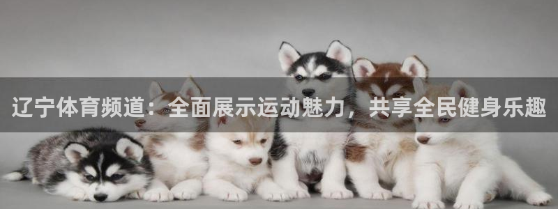 jrs乐球直播免费观看：辽宁体育频道：全面展示运动魅力，共享全民健身乐趣