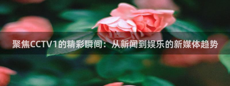 乐球吧jrs低调看直播：聚焦CCTV1的精彩瞬间：从新闻到娱乐的新媒体趋势